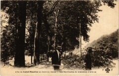 Saint-Maurice Les Barricades de branehes France -
																					94410 Saint-Maurice
																			