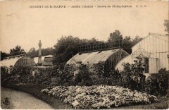 Nogent Jardin Colonial France