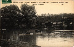 Champigny Pointe de l'Ile de Pisvinaigre France