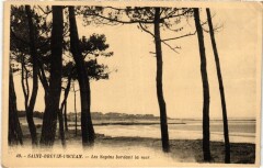 Saint-Brevin l'Ocean Les Sapins bordant la mer France