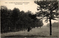 Vincennes Historique France à Vincennes