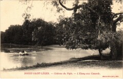 Boissy Chateau du Piple- L'Etang aux Canards France -
													94 Val de Marne
												
