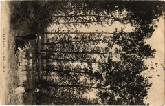 Coeuilly La Mare France