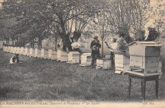 Les Ruchers De Saint Marc / Environs De Vendome / Un Rucher -
													41 Loir et Cher
												