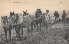 Au Pays Normand - Le Labour