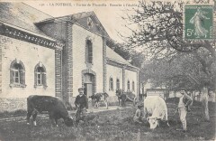 La Poterie / Ferme De Theuville / Rentree A L'Etable -
													76 Seine Maritime
												