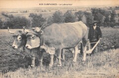 Nos Campagnes / Le Laboureur