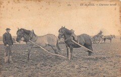 En Beauce / Charretier Hersant -
													28 Eure et Loir
												