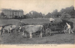 Saint Honore Les Bains - La Rentree Des Foins