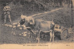 Type Basque - Attelage Primitif -
													64 Pyrénées Atlantiques
												