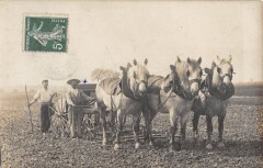 Allier - Carte Photo - Scene De Labour -
													03 Allier
												