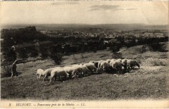Belfort panorama à Belfort