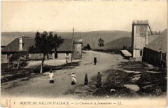 Ballon d'Alsace Chemin de la Jumenterie -
													90 Territoire de Belfort
												