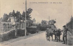 Ally / La Butte -
													15 Cantal
												