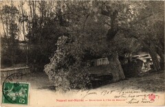 Nogent Sous bois a l'Ile de Beaute