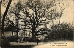 St Maur Grand chene centenaire -
													94 Val de Marne
												