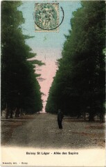 Boissy Saint-Leger Allee des Sapins -
													94 Val de Marne
												