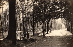 Nogent Bois de Vincennes Allee sous Bois à Vincennes
