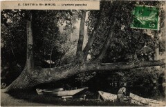 St Maur Arbre penche -
													94 Val de Marne
												