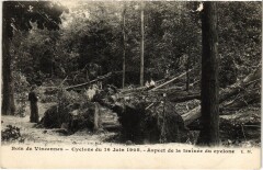 Carte postale ancienne Bois de Vincennes - Cyclone du 16 Juin 1908 - Aspect de la trainée du cyclone
                                                                     à Paris 12e
                                