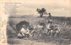 Misere Des Vignerons - A Midi