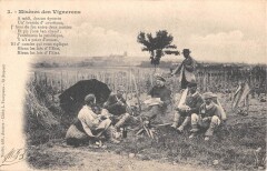 Misere Des Vignerons - A Midi