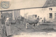 La Vie Aux Champs En Bourgogne - Le Depart De La Ferme Pour Les Travaux D