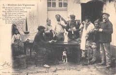 Misere Des Vignerons - Des Le Matin