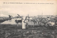 Ile De Noirmoutier / La Recolte Du Sel Marin / Un Des Principaux Produits
