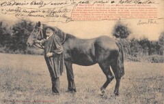 Sille - Haut Et Clair - Pierre Haton - 55 Ans Dans Le Commerce Des Chevau -
													72 Sarthe
												