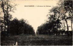 Montgeron L'Avenue du Chateau France -
																					91230 Montgeron
																			
