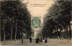 Montgeron Avenue du Chateau France à Montgeron