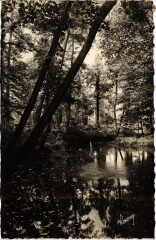 Brunoy Coin sauvage au bord de l'eau France à Brunoy
