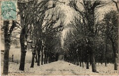 Dourdan Une Allee du Parc France -
																					91410 Dourdan
																			