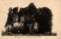 Andrezé Ruines du Chateau des Haies