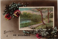Souvenir de Nyoiseau