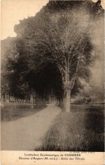 Inst. Ecclésiastique de Combrée Allée des tilleuls