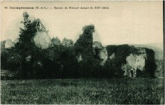 Champtoceaux Ruines du Prieuré -
													49 Maine et Loire
												
