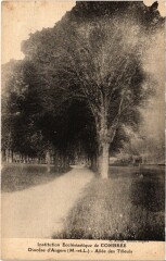 Inst. Ecclésiastique de Combrée Allée des tilleuls