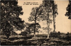 Foret de Senart La Plaine des Bergeries France