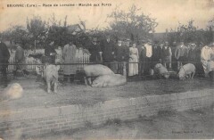 Brionne - Place De Lorraine - Marche Aux Porcs à Brionne