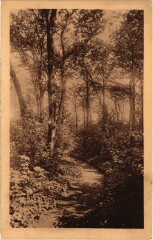 Les Lilas Une allee du Parc France aux Lilas