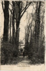 Le Bourget L'Allee preferee du Roi France au Bourget