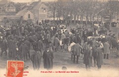 Pre En Pail - Le Marche Aux Bestiaux -
													53 Mayenne
												