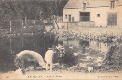 En Beauce - Coin De Ferme -
													28 Eure et Loir
												