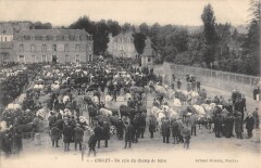 Cholet - Un Coin Du Champ De Foire à Cholet