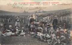 Au Pays Du Champagne / Scenes De Vendanges