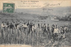 Au Pays Du Champagne / Vigne Et Vin / Le Sulfurage