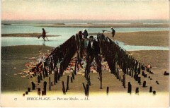 Berck-Plage Parc aux Moules à Berck