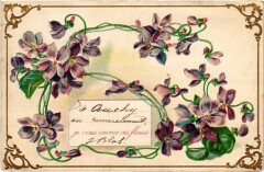 Fleurs Auchy Embossed -
													62 Pas de Calais
												
